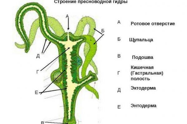 Рулетка на omg