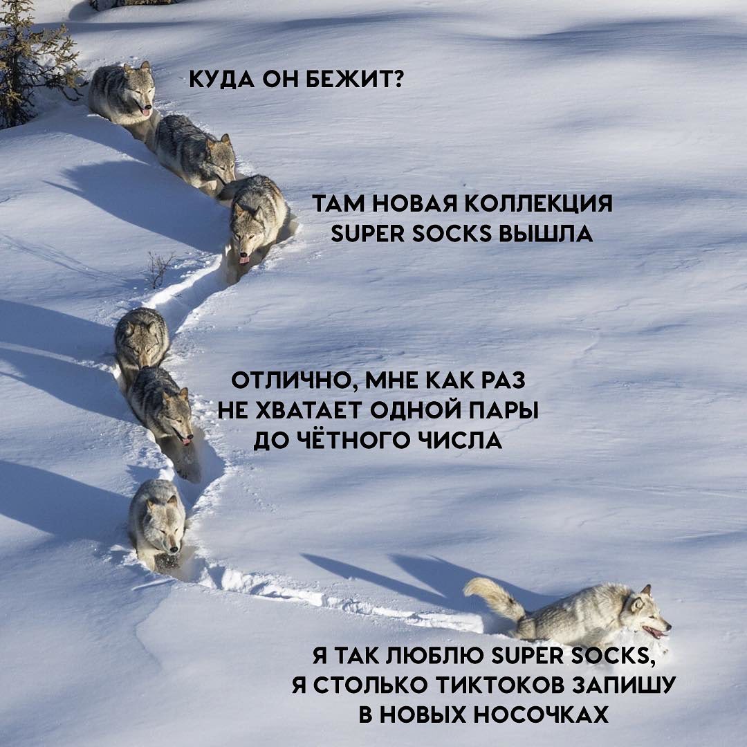 Омг ссылка т